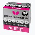 Piłeczki do tenisa stołowego Butterfly 120 szt. white 2