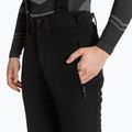Spodnie narciarskie męskie Descente Swiss Regular black 3
