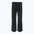 Spodnie narciarskie męskie Descente Swiss Slim black