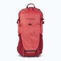 Plecak turystyczny Berghaus Remote Hike 25 l baked apple/syrah