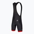 Spodenki rowerowe męskie Endura Xtract Gel II Bibshort red 6