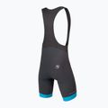 Spodenki rowerowe męskie Endura Xtract Lite Bibshort hi-biz blue 6