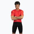 Spodenki rowerowe męskie Endura Pro SL EGM Bibshort SL black 2