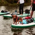 Deska SUP Red Paddle Co Voyager 12'6" zielona/biała 13
