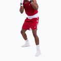 Spodenki treningowe męskie BOXRAW Stevenson V2 red/white 4