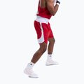 Spodenki treningowe męskie BOXRAW Stevenson V2 red/white 6