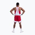 Koszulka męska Boxraw Stevenson V2 Tank red/white 3
