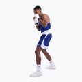 Spodenki treningowe męskie BOXRAW Stevenson V2 blue/white 8