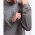 Bluza męska BOXRAW East Street Sweatshirt distressed grey 8