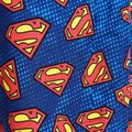 Szorty kąpielowe dziecięce Zoggs Superman blue 2