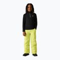 Bluza polarowa dziecięca Dare 2b Freehand Fleece black 3