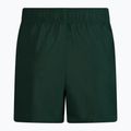 Szorty kąpielowe męskie Nike Essential 5" Volley galactic jade 2