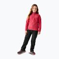 Spodnie trekkingowe dziecięce REGATTA Highton Winter black 5