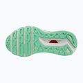 Buty do biegania damskie Mizuno Wave Horizon 6 irongate/silv/springbud 13