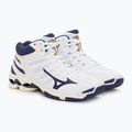 Buty do siatkówki Mizuno Wave Voltage Mid white/blue ribbon/mp gold 5