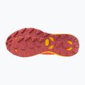 Buty do biegania damskie Mizuno Wave Daichi 8 GTX nasturtium/ citrus/ cranberry 6