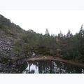 Namiot kempingowy 2-osobowy Vango Nevis 200 pamir green 18