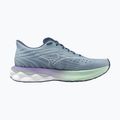 Buty do biegania damskie Mizuno Wave Skyrise 6 citadel/white/bay 9
