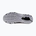 Buty męskie Mizuno Mxr silver/silver/nimbus cloud 14
