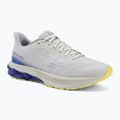 Buty do biegania męskie Mizuno Wave Skyrise 7 dawn blue/white/dazzling blue