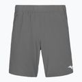 Spodenki męskie Mizuno 8 In Flex Short quiet shade