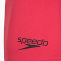 Strój pływacki jednoczęściowy damski Speedo Flex Band with Swim Bra raspbery fill/vermilion/punch 9