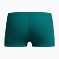 Bokserki pływackie dziecięce Speedo Medley Logo Aquashort deep emerald/alfalfa green 2