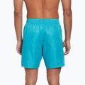 Szorty kąpielowe męskie Nike Swim Breaker 7" Volley dusty cactus 3