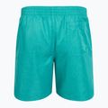 Szorty kąpielowe męskie Nike Swim Breaker 7" Volley dusty cactus 2