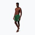 Szorty kąpielowe męskie Nike Logo Lap 5" Volley malachite 2