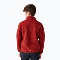 Bluza polarowa dziecięca REGATTA Junior Frankie Full Zip red ochre 3