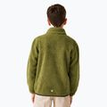 Bluza polarowa dziecięca REGATTA Junior Frankie Full Zip nephrite green 3