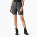 Spodenki trekkingowe damskie REGATTA Chaska III seal grey