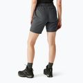 Spodenki trekkingowe damskie REGATTA Chaska III seal grey 3