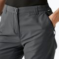Spodenki trekkingowe damskie REGATTA Chaska III seal grey 4