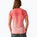 Koszulka damska REGATTA Laxley II peach bloom ombre 3