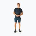 Spodenki trekkingowe męskie REGATTA Leesville III moonlight denim 2