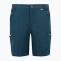 Spodenki trekkingowe męskie REGATTA Leesville III moonlight denim 6