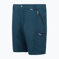 Spodenki trekkingowe męskie REGATTA Leesville III moonlight denim 8