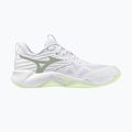 Buty do siatkówki damskie Mizuno Wave Momentum Pro white/aqua gray/ambrosia