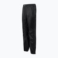 Spodnie trekkingowe męskie REGATTA Active black 7
