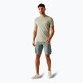 Spodenki trekkingowe męskie REGATTA Shorebay II storm grey 2
