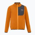 Bluza polarowa dziecięca REGATTA Frankie Full Zip fox 5