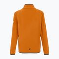 Bluza polarowa dziecięca REGATTA Frankie Full Zip fox 6