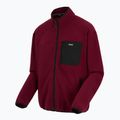Bluza polarowa męska REGATTA Frankie Full Zip dark maroon 8