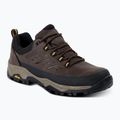 Buty trekkingowe męskie REGATTA Blake Low peat/wood 8