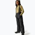 Spodnie narciarskie dziecięce Dare 2b Outmove III Insulated Pant black 2