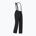 Spodnie narciarskie męskie Dare 2b Achieve III Pant black 10