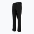 Spodnie softshell męskie REGATTA Geo Softshell black 10