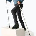 Spodnie softshell męskie REGATTA Geo Softshell ash 3